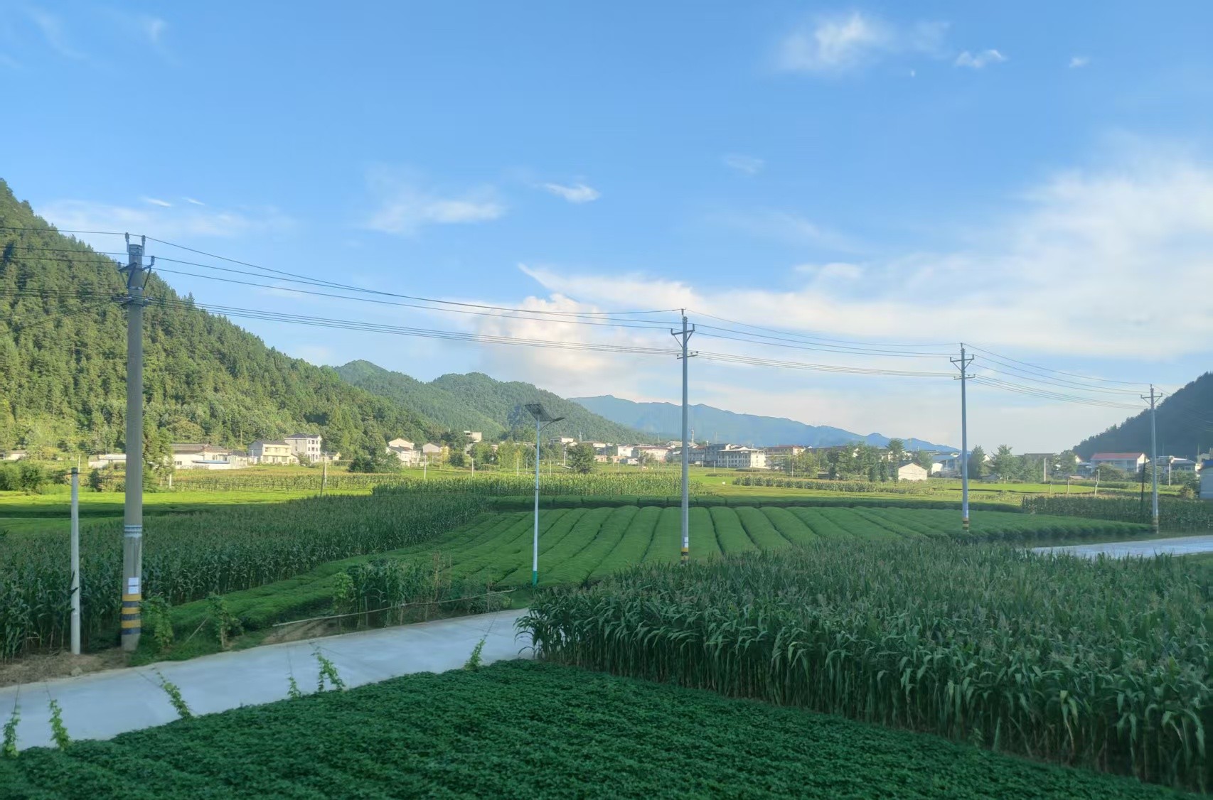 民宿周边